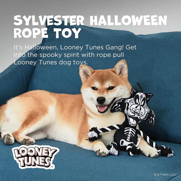 LOONEY TUNES Frankenstein Daffy Canard et squelette Sylvester Halloween Corde à tirer Jouets pour chien en vrac 14 pièces | Jouets couineurs pour chien en peluche à mâcher