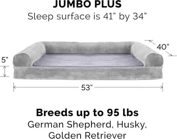 FurHaven Panier orthopédique matelassé pour Chien et Chat