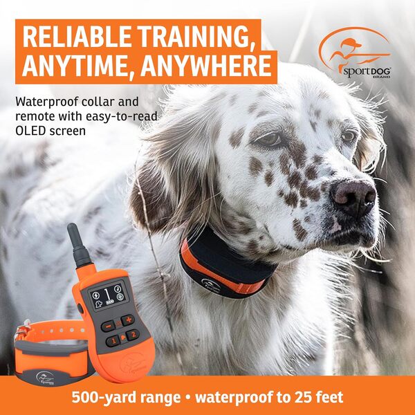 SportDOG Brand SportTrainer 575 Collier de Dressage à Distance – Écran OLED Lumineux et Facile à Lire – Portée de 450 m – Collier de Dressage pour Chien étanche et Rechargeable avec tonalité,