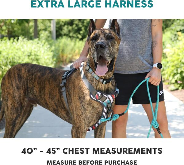 Embark Urban Harnais Anti-Traction pour Chien avec 2 Clips pour Laisse, Harnais Anti-Traction à l'avant et à l'arrière avec poignée de contrôle, réglable, Doux et rembourré | pour Chiot