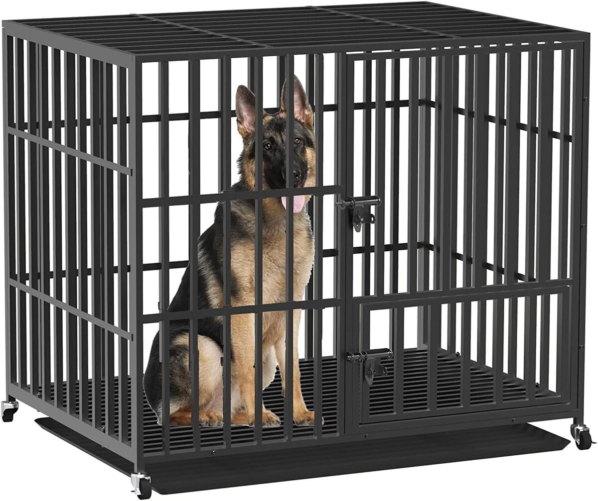 Test de la cage pour chien XXL BingoPaw : robuste et pratique