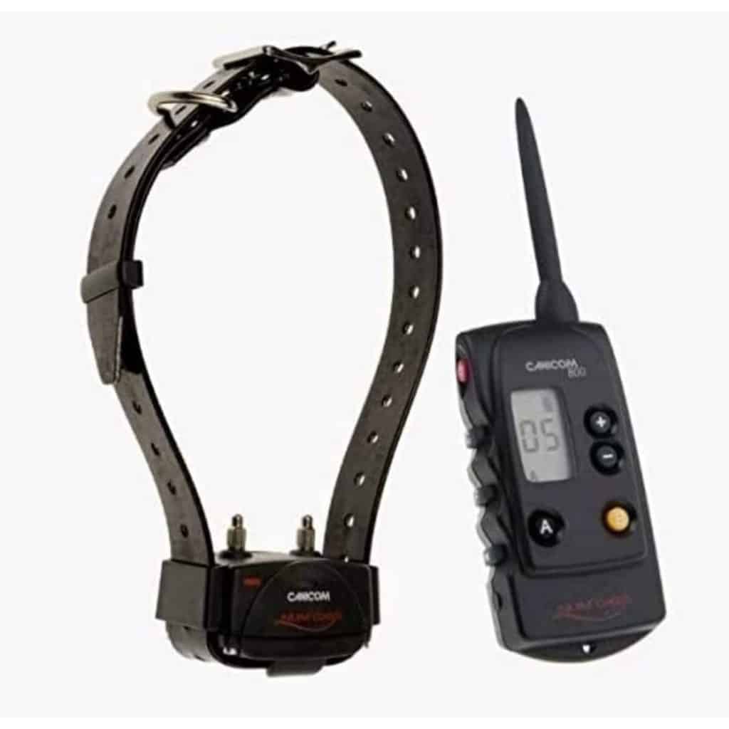 Test du collier de dressage Canicom 800 par Num'Axes