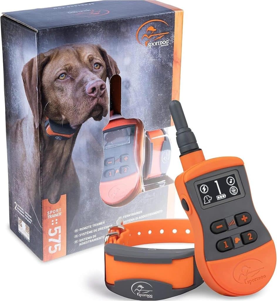 Test du collier SportDOG SportTrainer 575 : écran OLED et portée 450 m