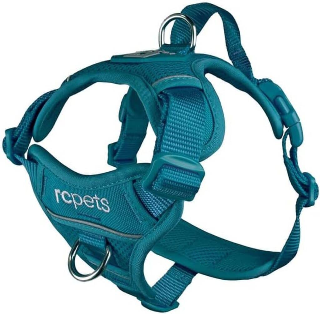 Test du harnais Momentum XL de RC Pet Products : ergonomie pour chien