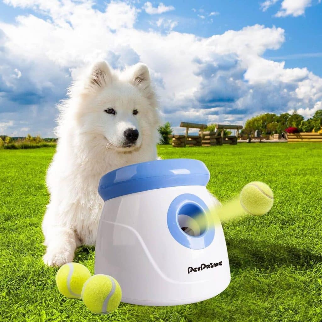 Test du lanceur de balle PetPrime : jouet interactif pour chien