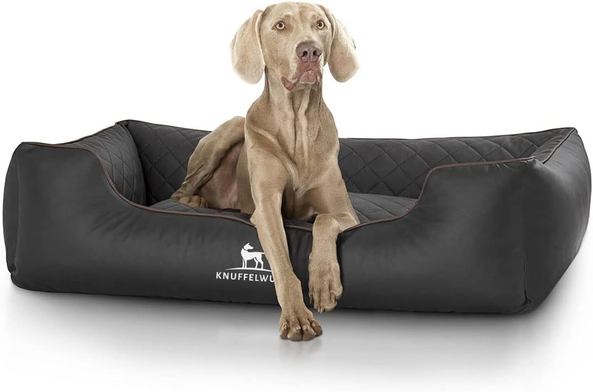 Test du panier orthopédique Knuffelwuff Madison XXXL en similicuir noir