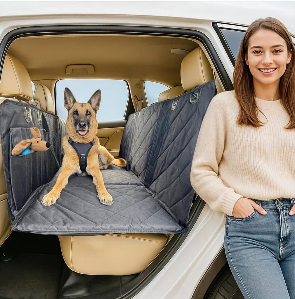 Test : housse de siège fond rigide APetsPlanet pour chien