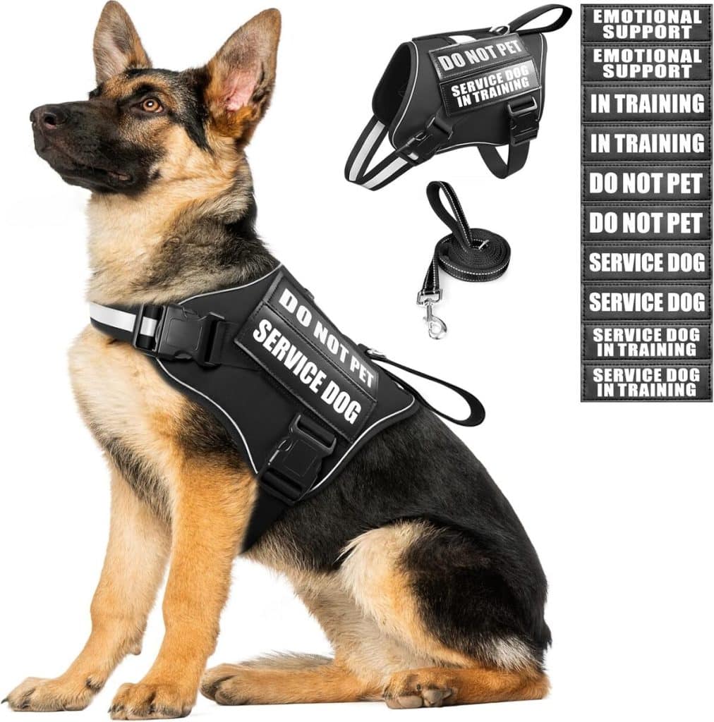 Test MOOGROU harnais anti-traction pour chiens