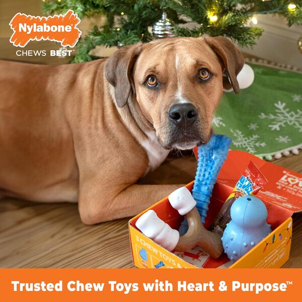 Nylabone Coffret cadeau de vacances pour chiens de grande taille, comprend 3 jouets de vacances solides à mâcher et 1 friandise pour chien, cadeaux pour chiens, grand/géant (4 pièces)