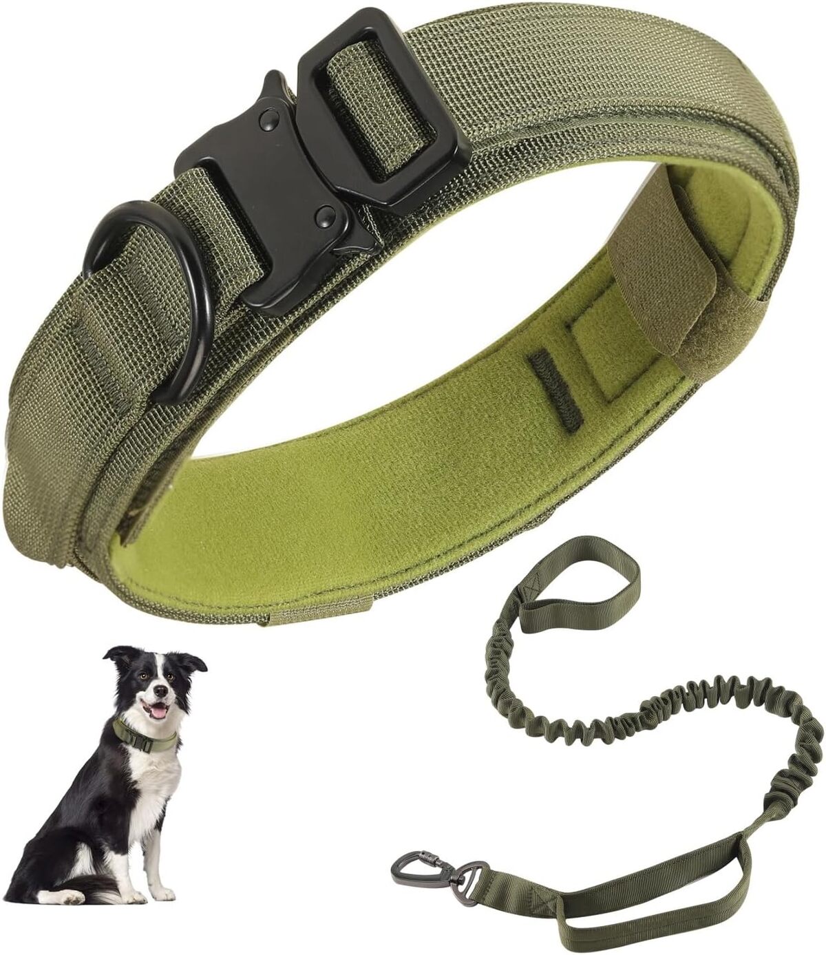 Avis : collier et laisse tactique pour chien avec boucle en métal robuste