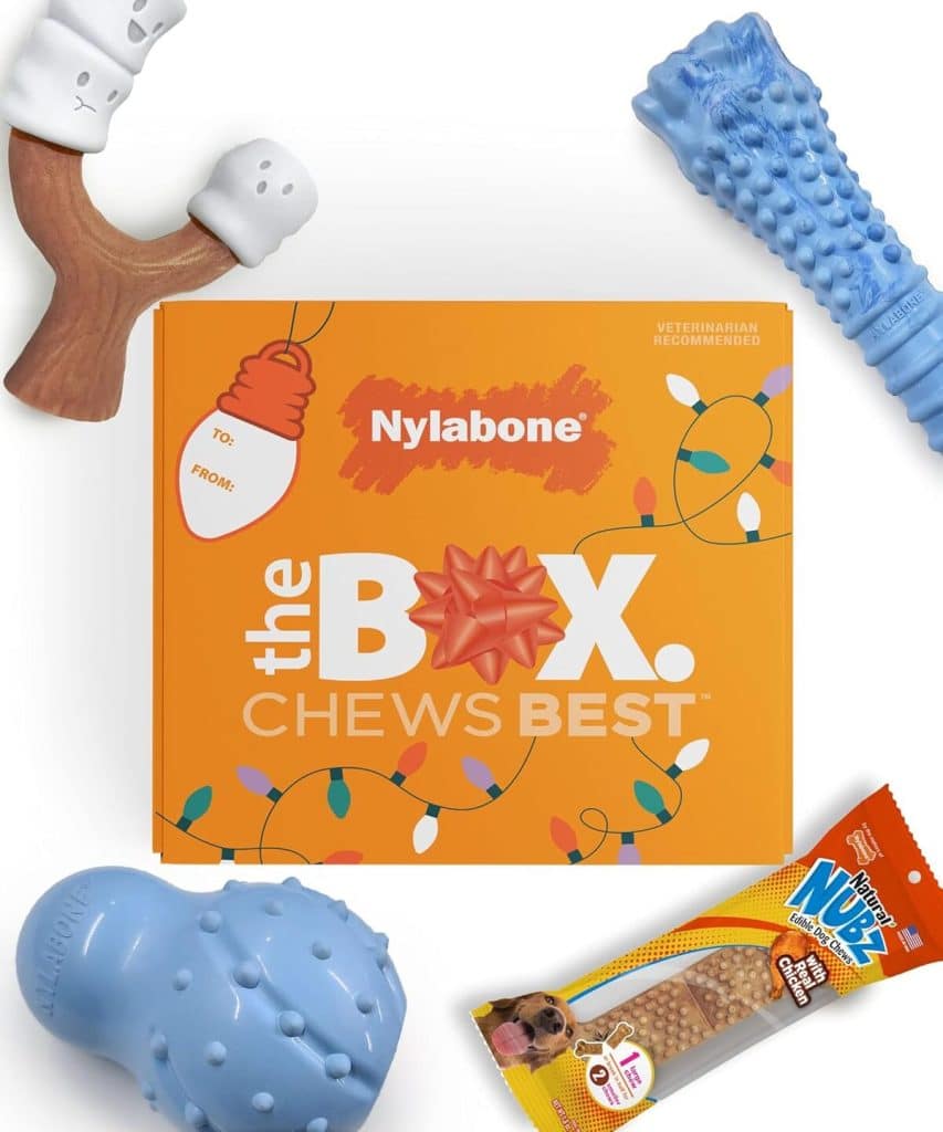 Test : coffret cadeau Nylabone pour grands chiens, 4 pièces