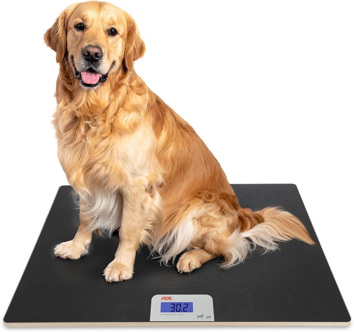 Test de la balance numérique ADE pour animaux jusqu'à 100 kg