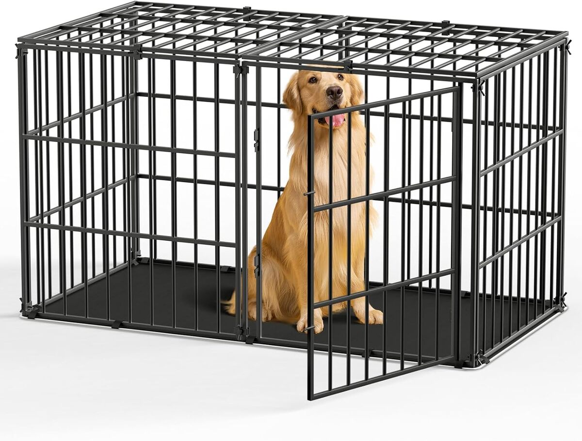 Test de la cage pour chien Pawaboo anti-morsures