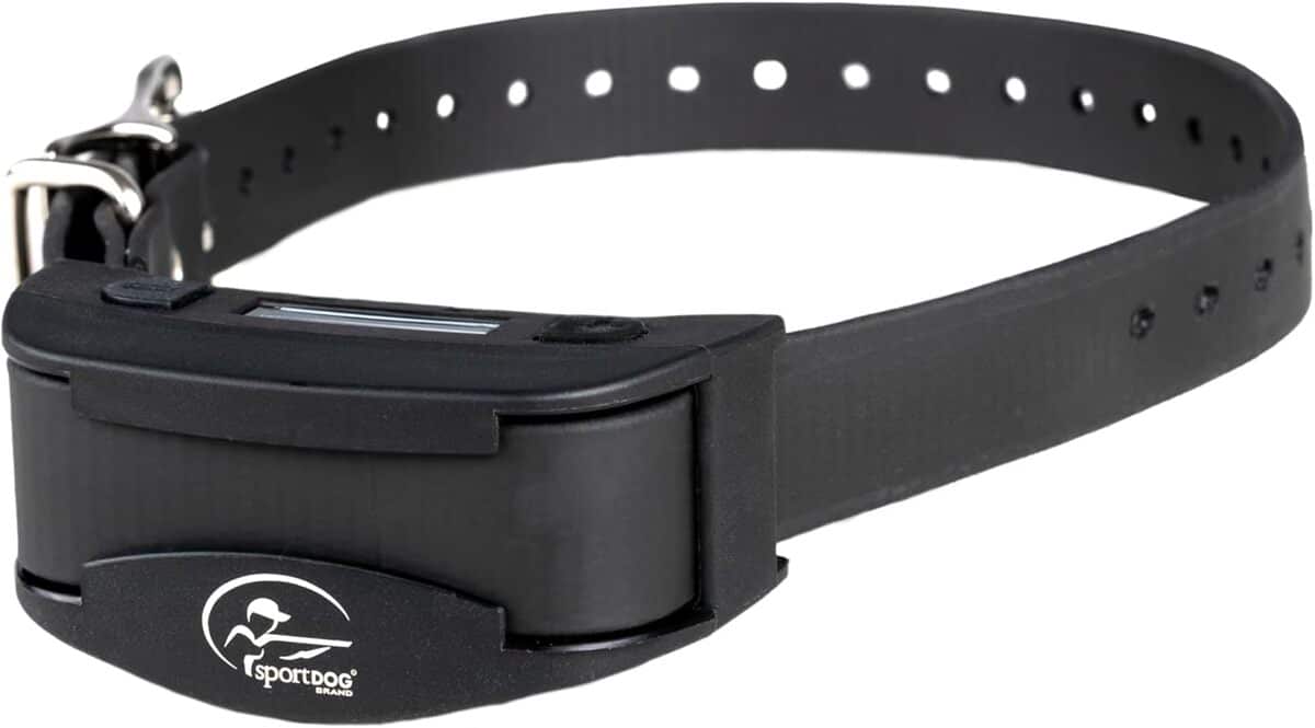Test du collier anti-aboiement rechargeable SportDOG NoBark