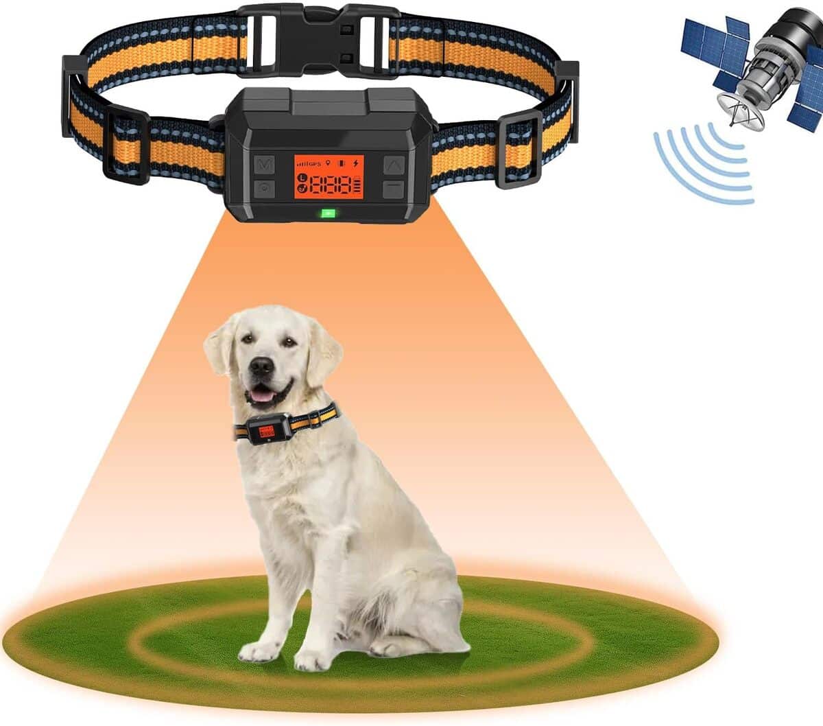 Test du collier anti-fugue GPS pour chien : efficacité et performance