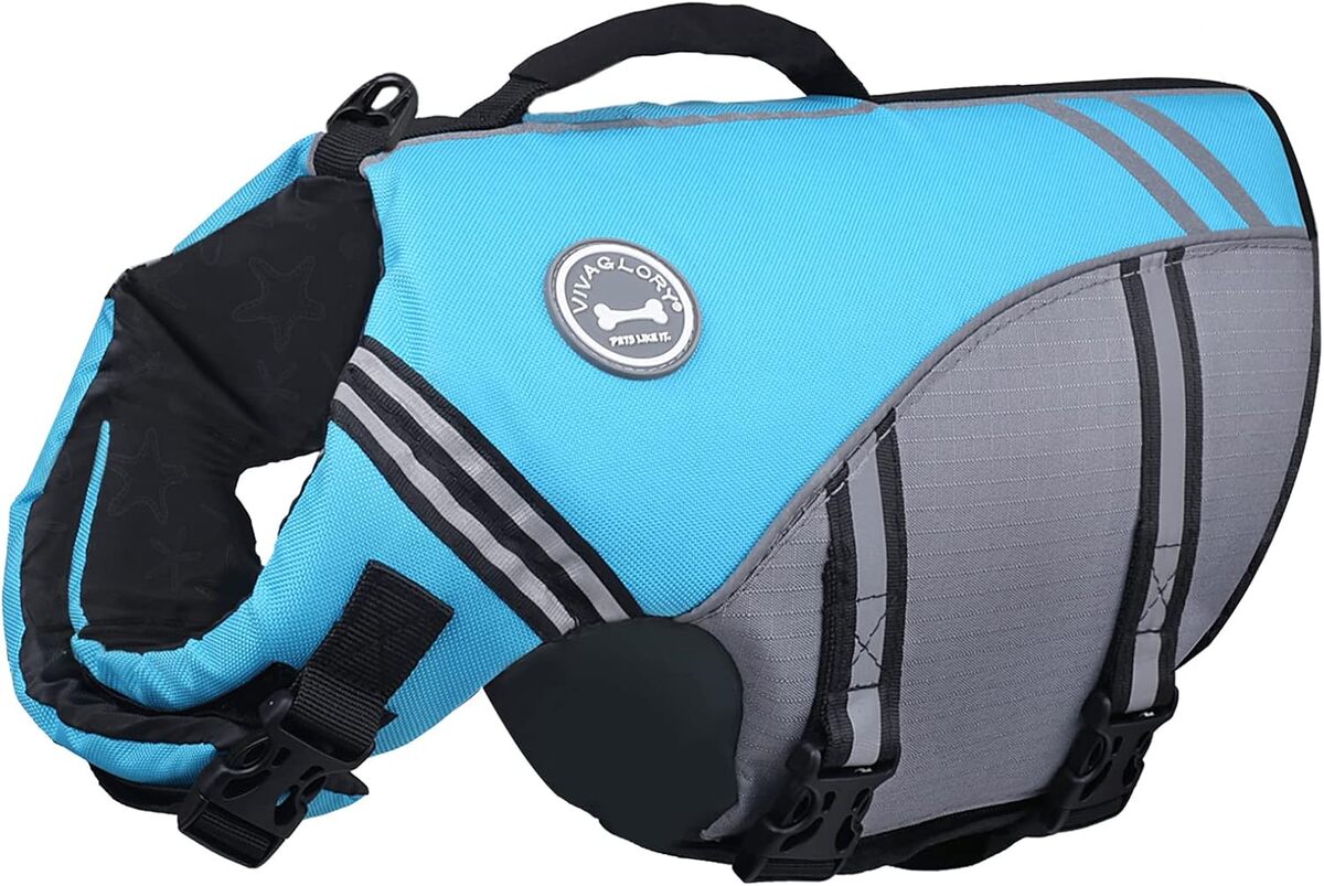 Test du gilet de sauvetage Vivaglory pour chien : flottabilité optimale et style sportif