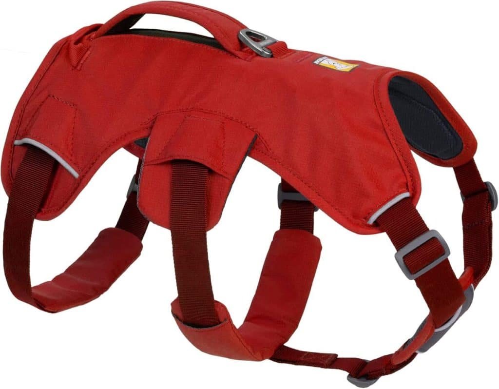Test du harnais anti-fuite RUFFWEAR Web Master pour chien taille S en rouge sumac