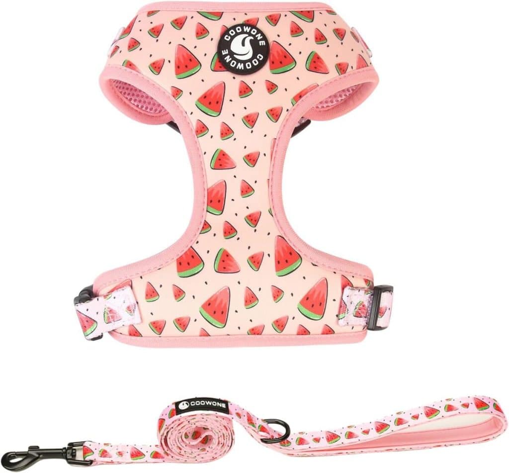 Test du harnais réglable Coowone pour chien