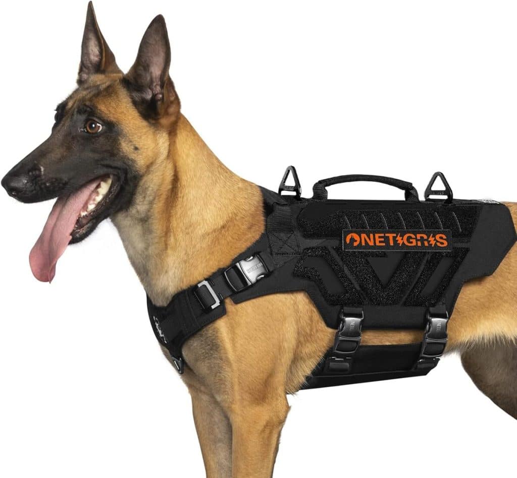 Test du harnais tactique OneTigris X Armor pour chien