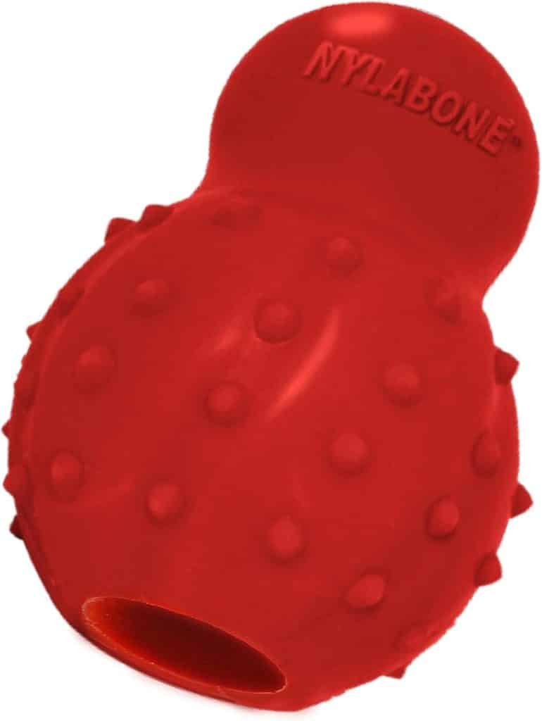 Test du jouet à friandises Nylabone pour chiens