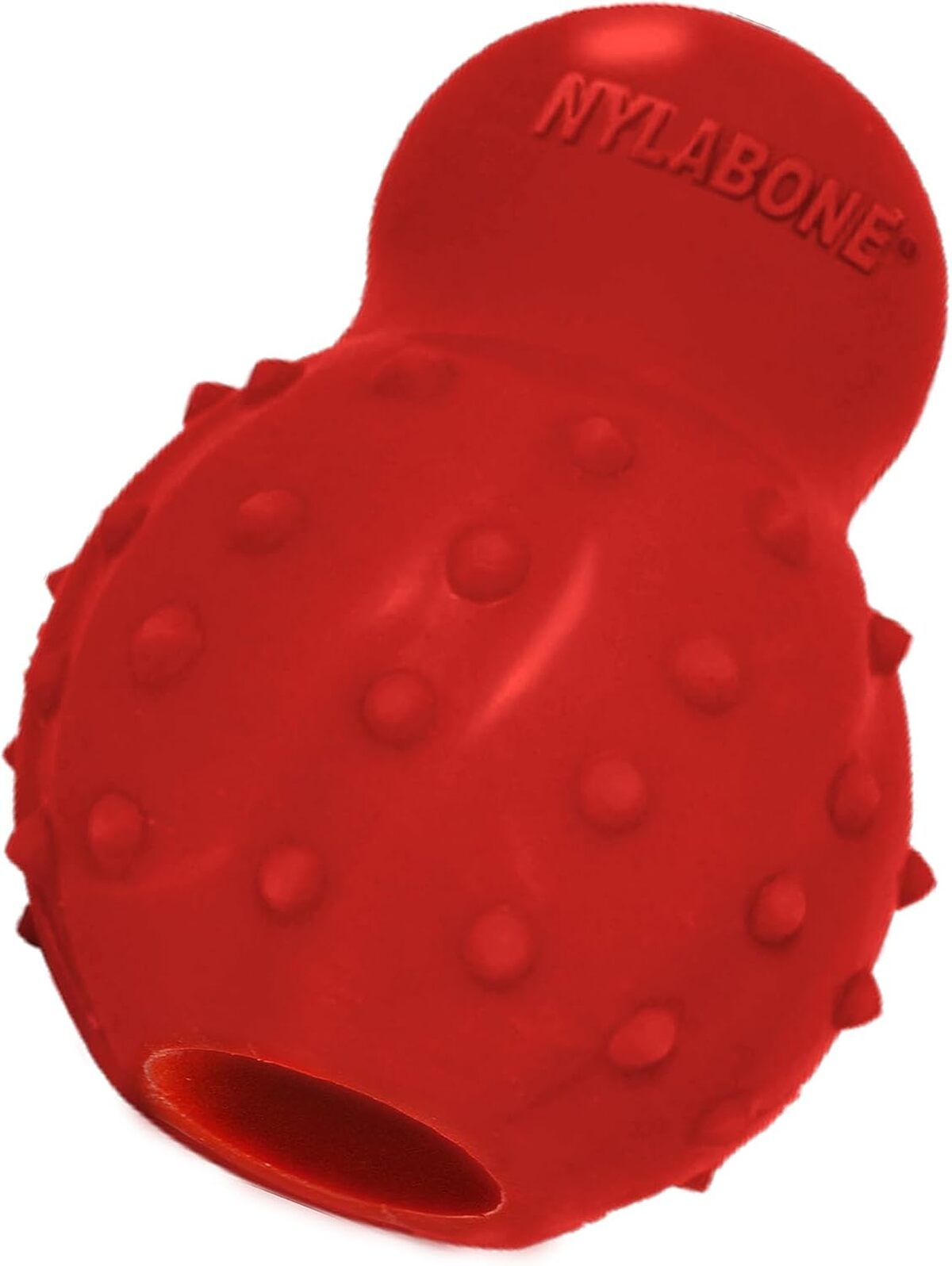 Test du jouet à friandises Nylabone pour chiens