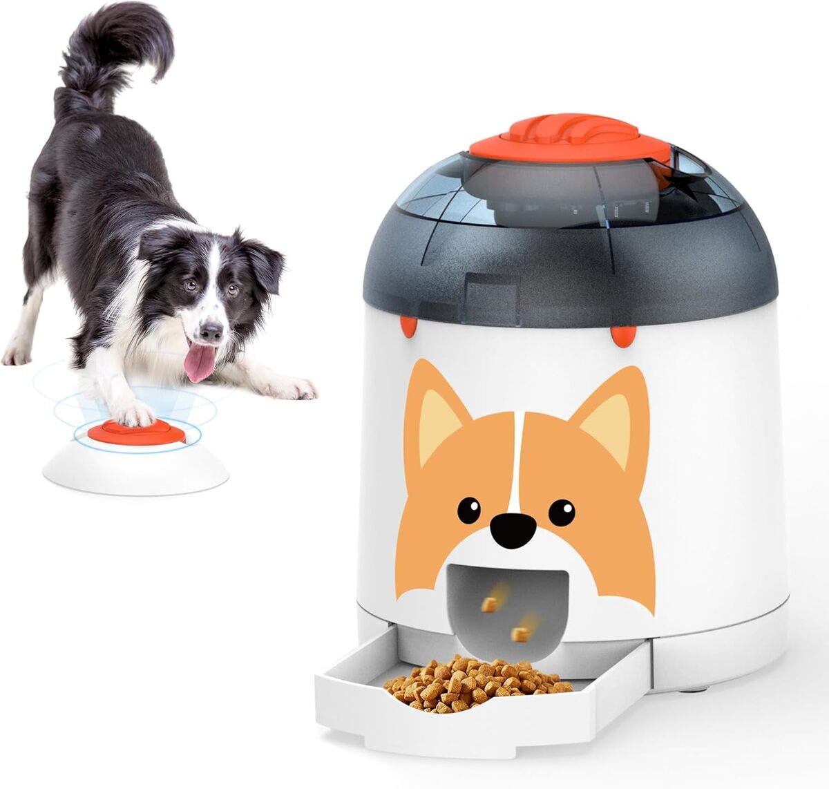 Test du jouet puzzle interactif Potaroma pour chiens