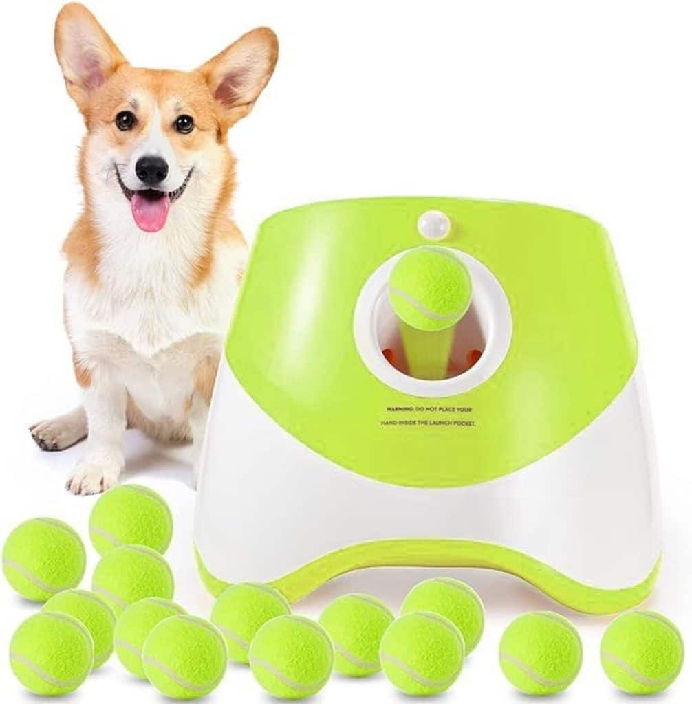 Test du lanceur automatique de balles pour chien : distance 3-9 m pour petits chiens
