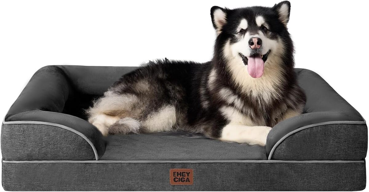 Test du panier EHEYCIGA XXL : confort orthopédique pour chiens