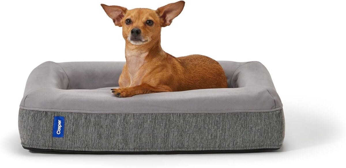 Test du panier pour chien Casper en mousse à mémoire de forme taille S