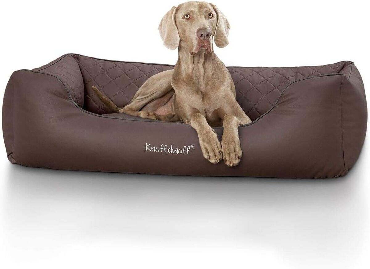 Test du panier pour chien Knuffelwuff en cuir matelassé