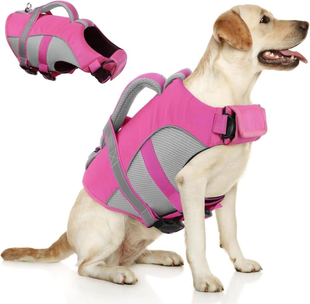 Test : gilet de sauvetage Queenmore pour chien XXL