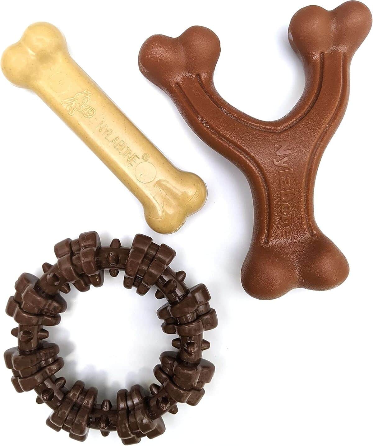 Test : nylabone jouets à mâcher pour chiens agressifs