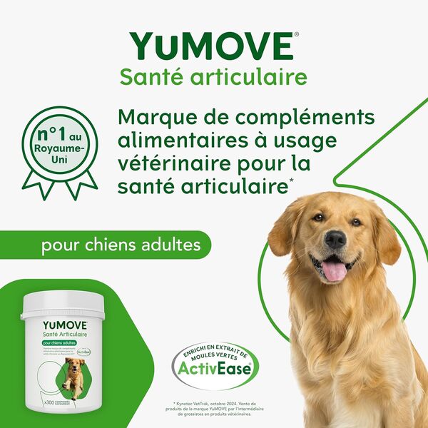 YuMOVE Arthrose Chien - Complément pour Les articulations du Chien - 300 comprimés Contenant ActivEase, moules Vertes, glucosamine et chondroïtine -Triple Action pour Le Soutien articulaire