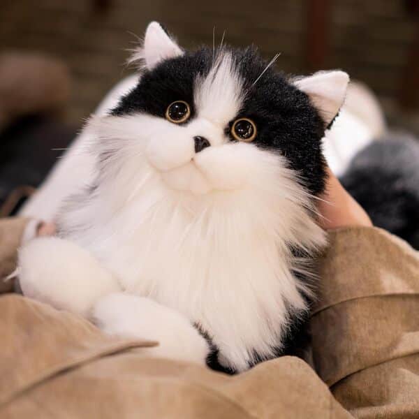 Chongker 2 kg Jouet en Peluche Pondéré Fait à la Main Réaliste Noir Chat en Peluche Animal de Compagnie Cadeau pour Filles Garçons Personnes âgées en Peluche Douce Mignonne (Chat Noir Lesté)