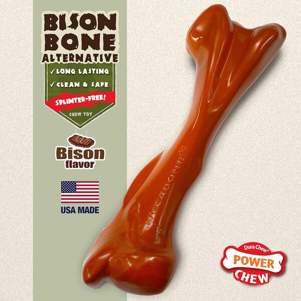Nylabone Os Arôme Bison Jouet à Mâcher Résistant pour Chien