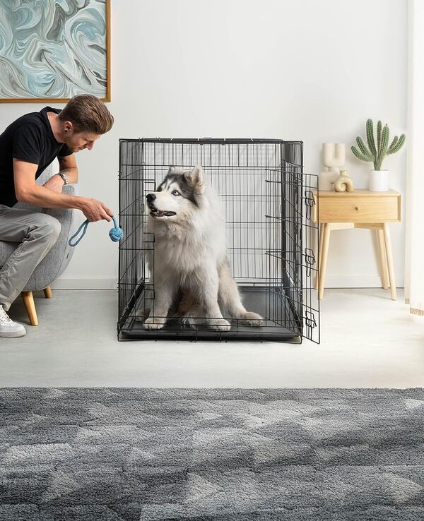 lionto Caisse de Transport pour Chiens et Chats, Cage Polyvalente avec bac en Plastique hygiénique, 122x75x81 cm, Cage pour Chien en métal avec Fermetures de sécurité Solides et cloison, Noir