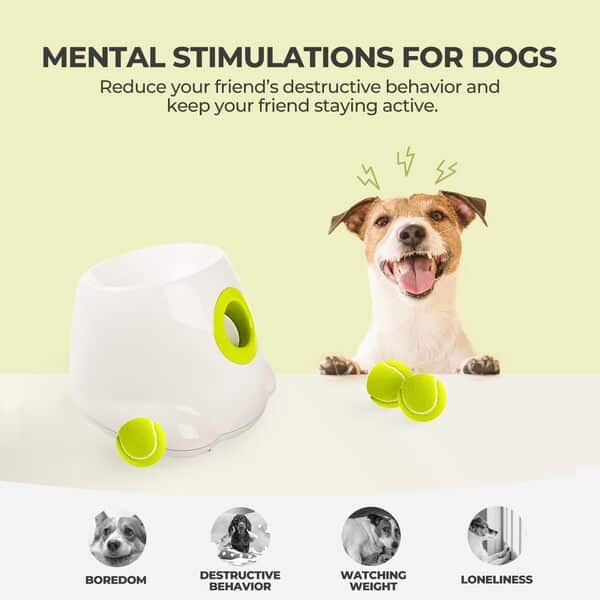 All for Paws Lanceur de Balle Automatique interactif pour Chien, Lanceur de Balle de Tennis pour Chiens de Petite et Moyenne Taille, Jouet à rapporter, pour Les Chiens avec 3 balles