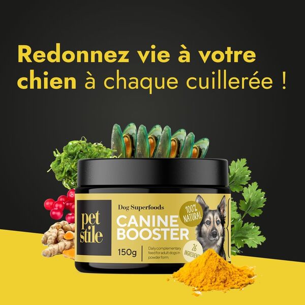 Canine Booster – Complément pour Chiens Adultes avec Moule Verte, Curcuma et probiotiques – Améliore mobilité, Digestion, Peau, Pelage, renforce l’immunité et Plus Encore