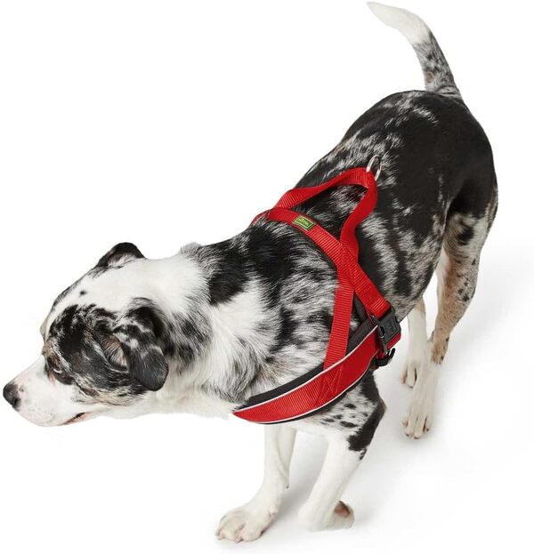 Hunter Racing Harnais Norvégien en Nylon Réfléchissant pour Chien, Bleu pétrole, 52-62/S-M