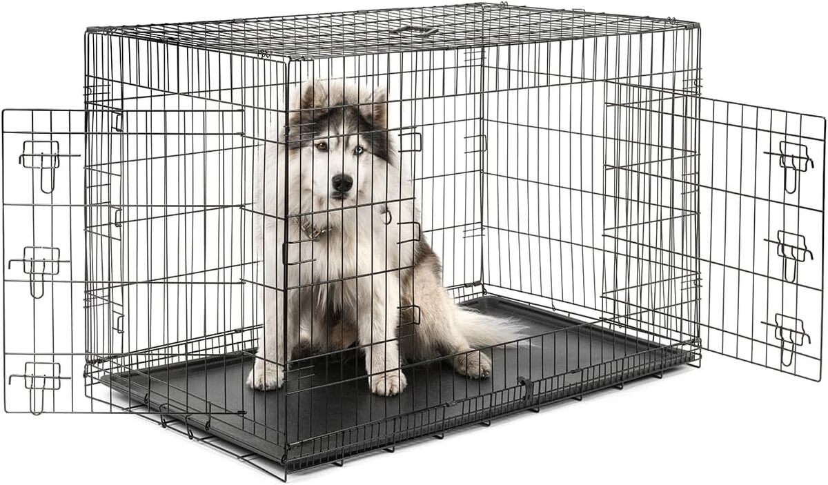 Test de la cage polyvalente lionto pour chiens et chats : sécurité et confort en un modèle
