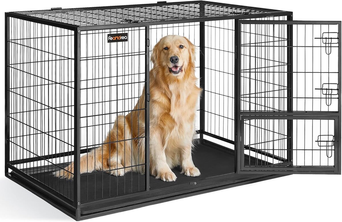 Test de la cage pour chien Feandrea XXL, double porte amovible