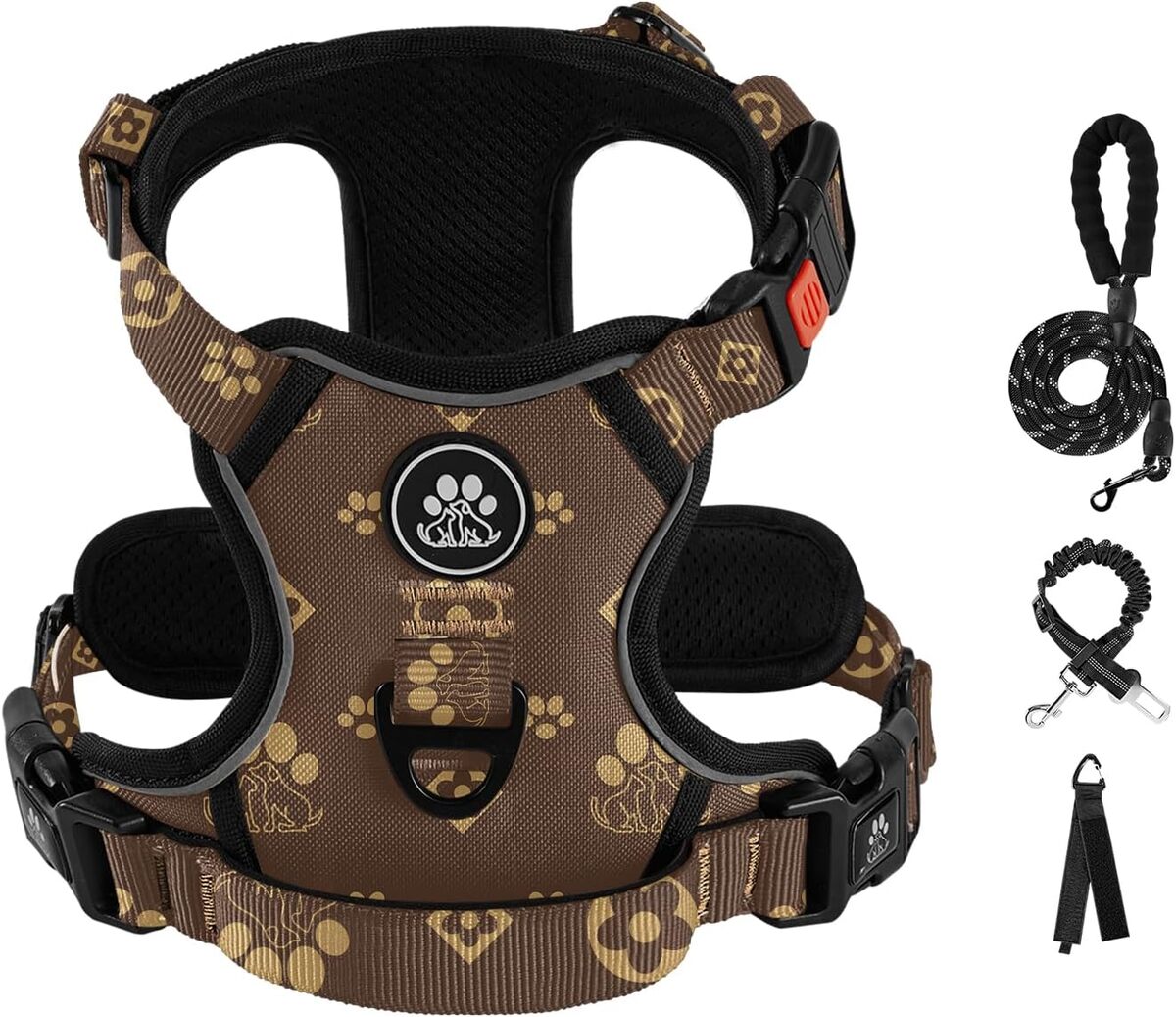 Test de l'ensemble harnais anti-traction IVY&LANE pour grands chiens