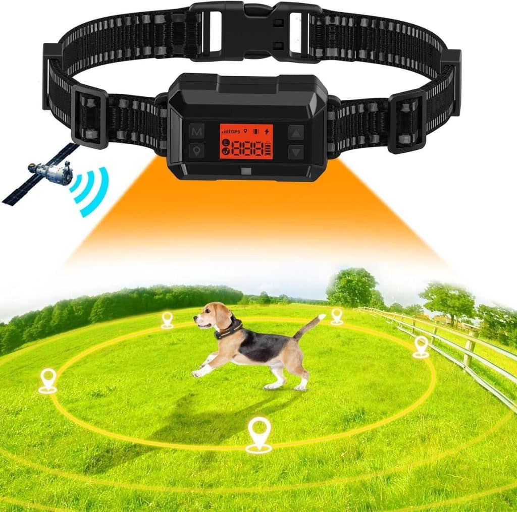Test du collier POIIOPY : clôture GPS sans fil anti-fugue pour chiens