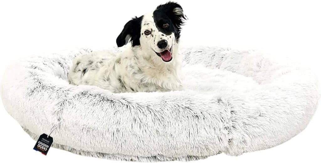 Test du coussin apaisant XXL One PETS-TOP pour chien