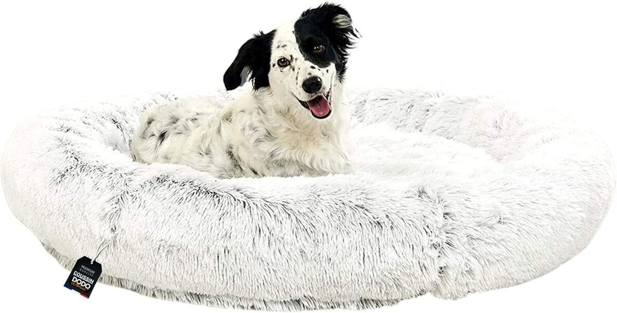 Test du coussin apaisant XXL One PETS-TOP pour chien