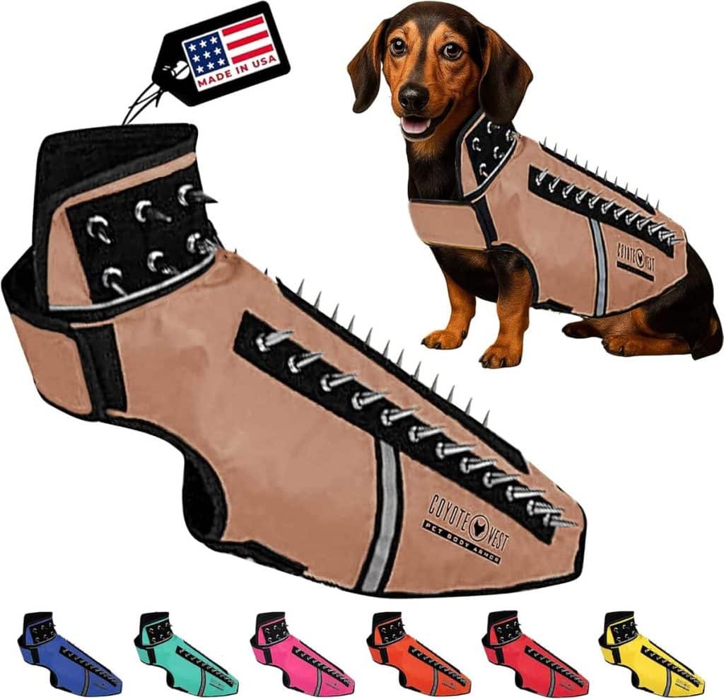 Test du harnais CoyoteVest SpikeVest : protection ultime pour petits chiens