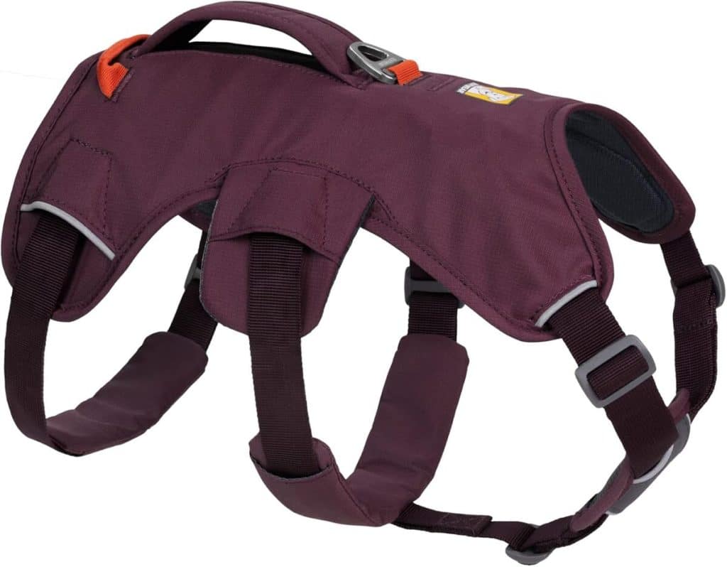 Test du harnais multi-usage Ruffwear Web Master taille L/XL