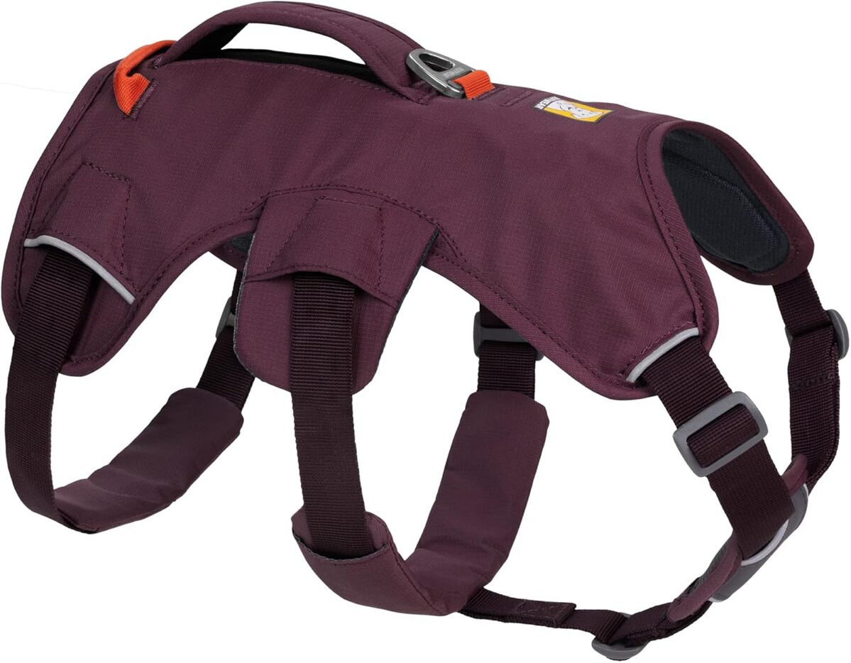 Test du harnais multi-usage Ruffwear Web Master taille L/XL
