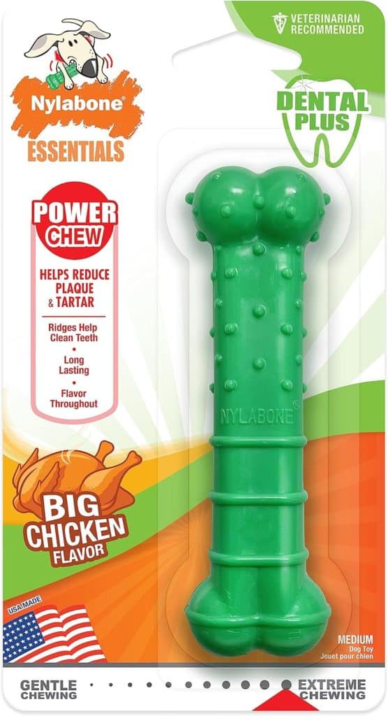 Test du jouet à mâcher Nylabone Power Chew Shish Kabob pour chiens puissants