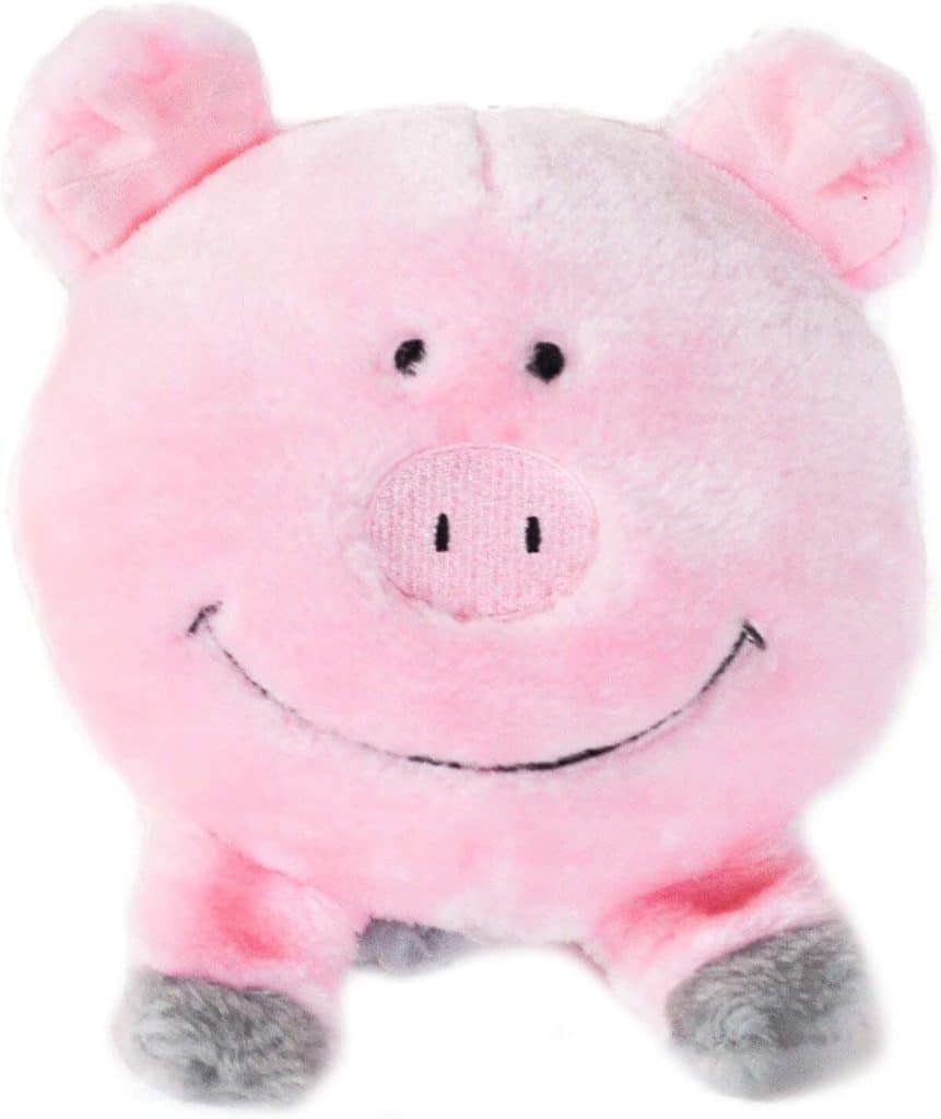 Test du jouet couineur en peluche ZippyPaws Brainey pour chien
